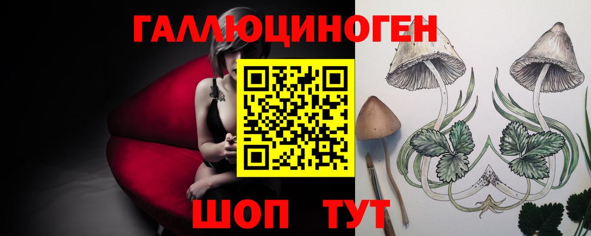 Ангарск  Псилоцибиновые грибы MAGIC MUSHROOMS  Вход с VPN 